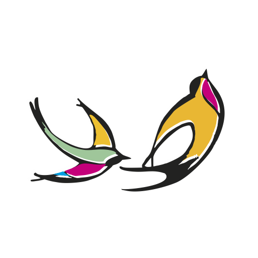 Andorinhas - Artes e Culturas